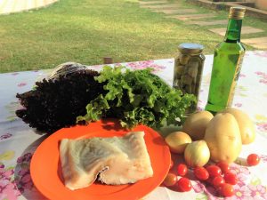 IMG_6370 (2)