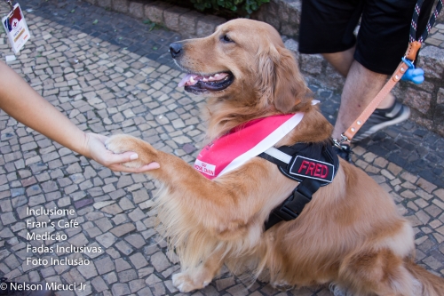 01/06/19 - Pet e Inclusão! Cães Terapêutas!