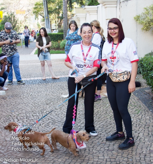 01/06/19 - Pet e Inclusão! Cães Terapêutas!