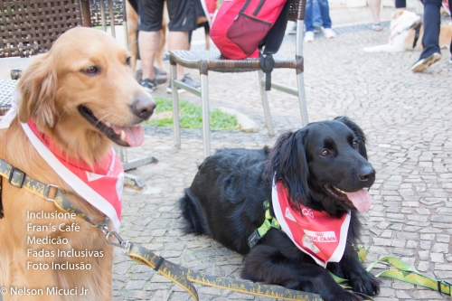 01/06/19 - Pet e Inclusão! Cães Terapêutas!