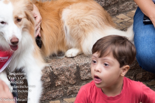 01/06/19 - Pet e Inclusão! Cães Terapêutas!