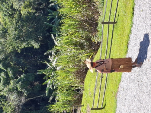 ESTUDO DO MEIO - ALDEIA NAKANA